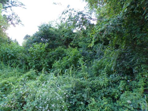 Vacant Land For Sale - 1725 Charles Street<br/> Kingsport, TN 37660