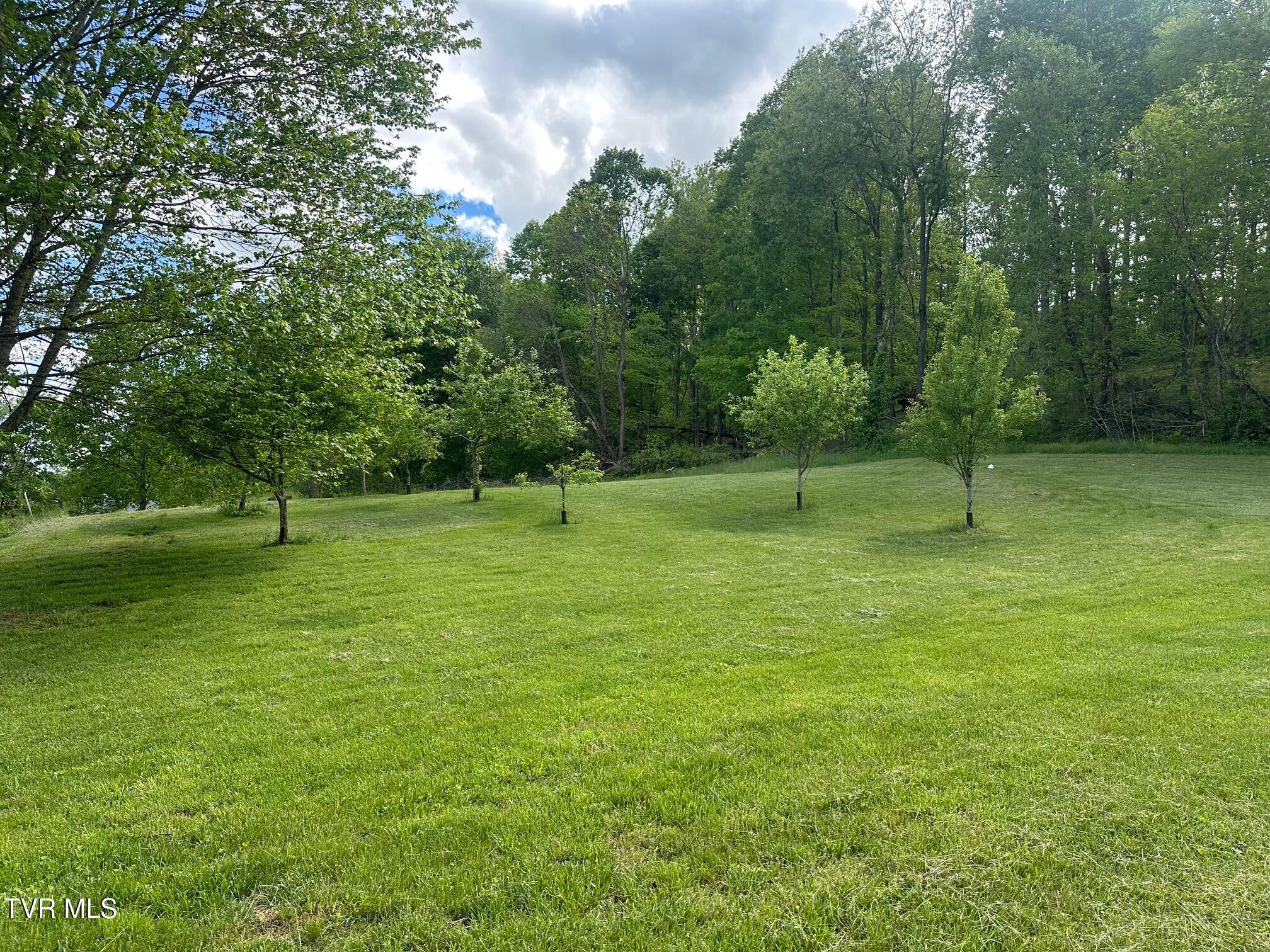 1215 Bear Wallow Road, Castlewood, Virginia image 12