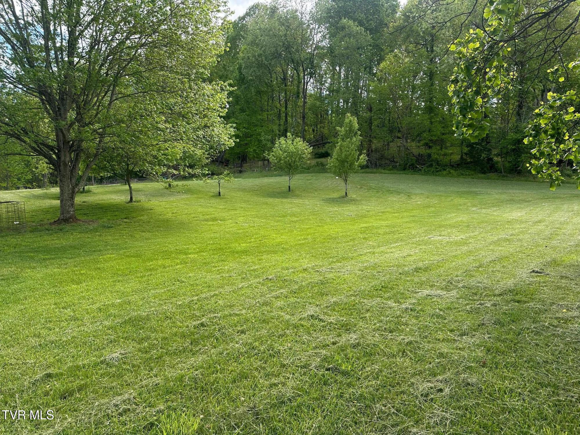 1215 Bear Wallow Road, Castlewood, Virginia image 11