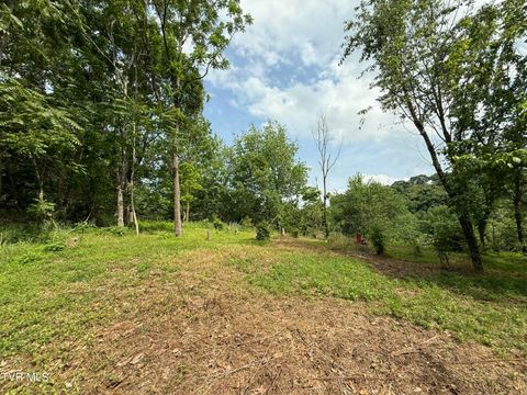 Vacant Land For Sale - TR 3 Charles Johnson Road<br/> Chuckey, TN 37641