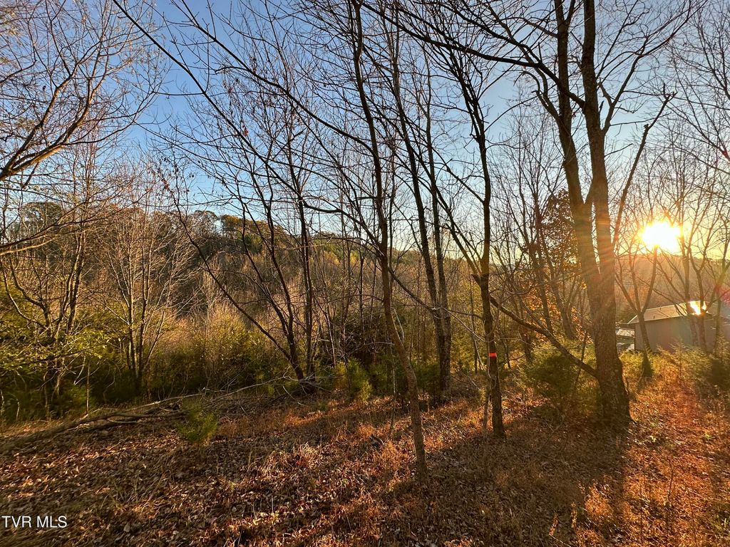 Photo of 3 Charles Johnson Road, Chuckey, TN 37641 (MLS # 9992345)