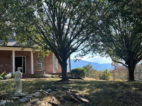 Photo of 456 Greystone Road, Greeneville, TN 37743 (MLS # 9984072)