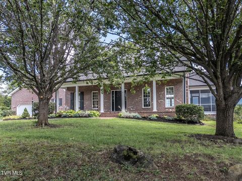 Photo of 456 Greystone Road, Greeneville, TN 37743 (MLS # 9984072)