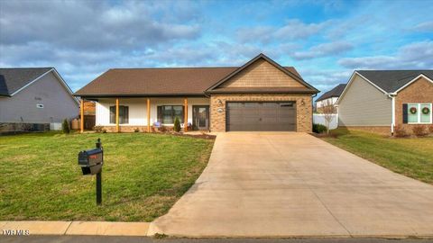 Photo of 2049 Presley Crossing, Jonesborough, TN 37659 (MLS # 9989813)
