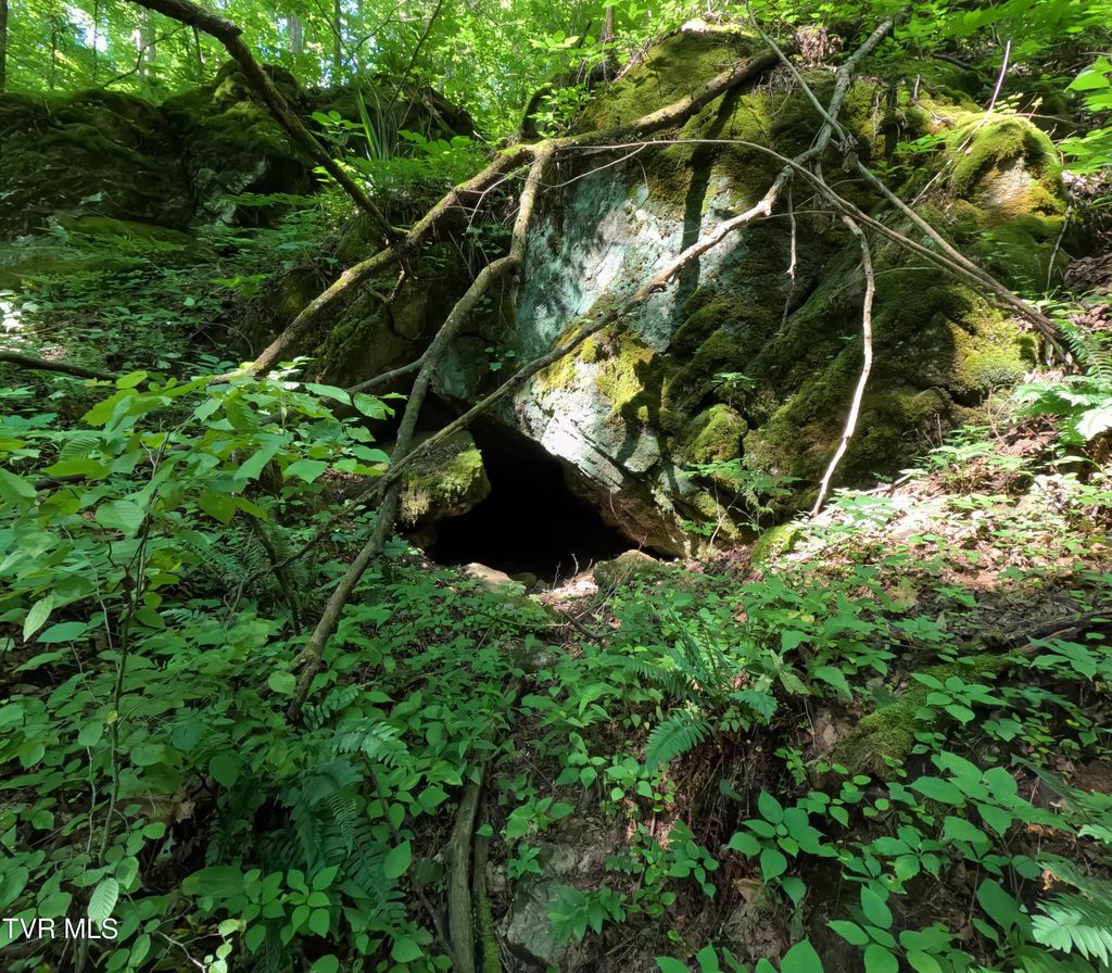Photo of 1 Off Broyles Road, Greeneville, TN 37745 (MLS # 9982908)