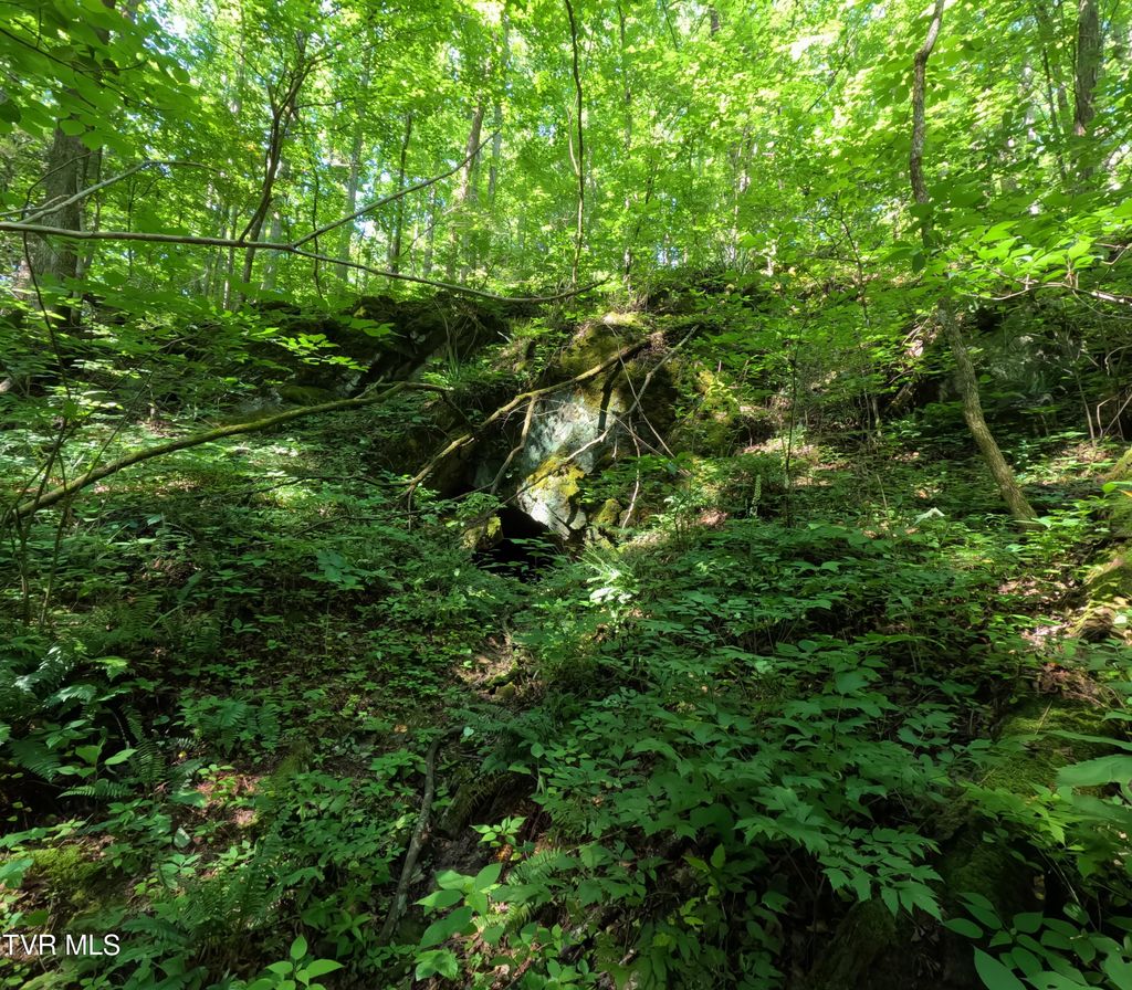 Photo of 1 Off Broyles Road, Greeneville, TN 37745 (MLS # 9982908)