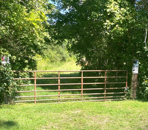 Vacant Land For Sale - TBD Old Buffalo Road<br/> Johnson City, TN 37601