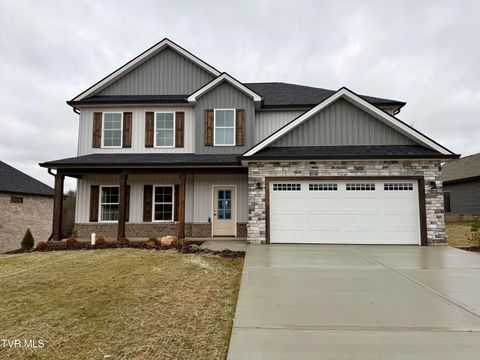 Photo of 252 Ruby Rose Ridge, Jonesborough, TN 37659 (MLS # 9990532)