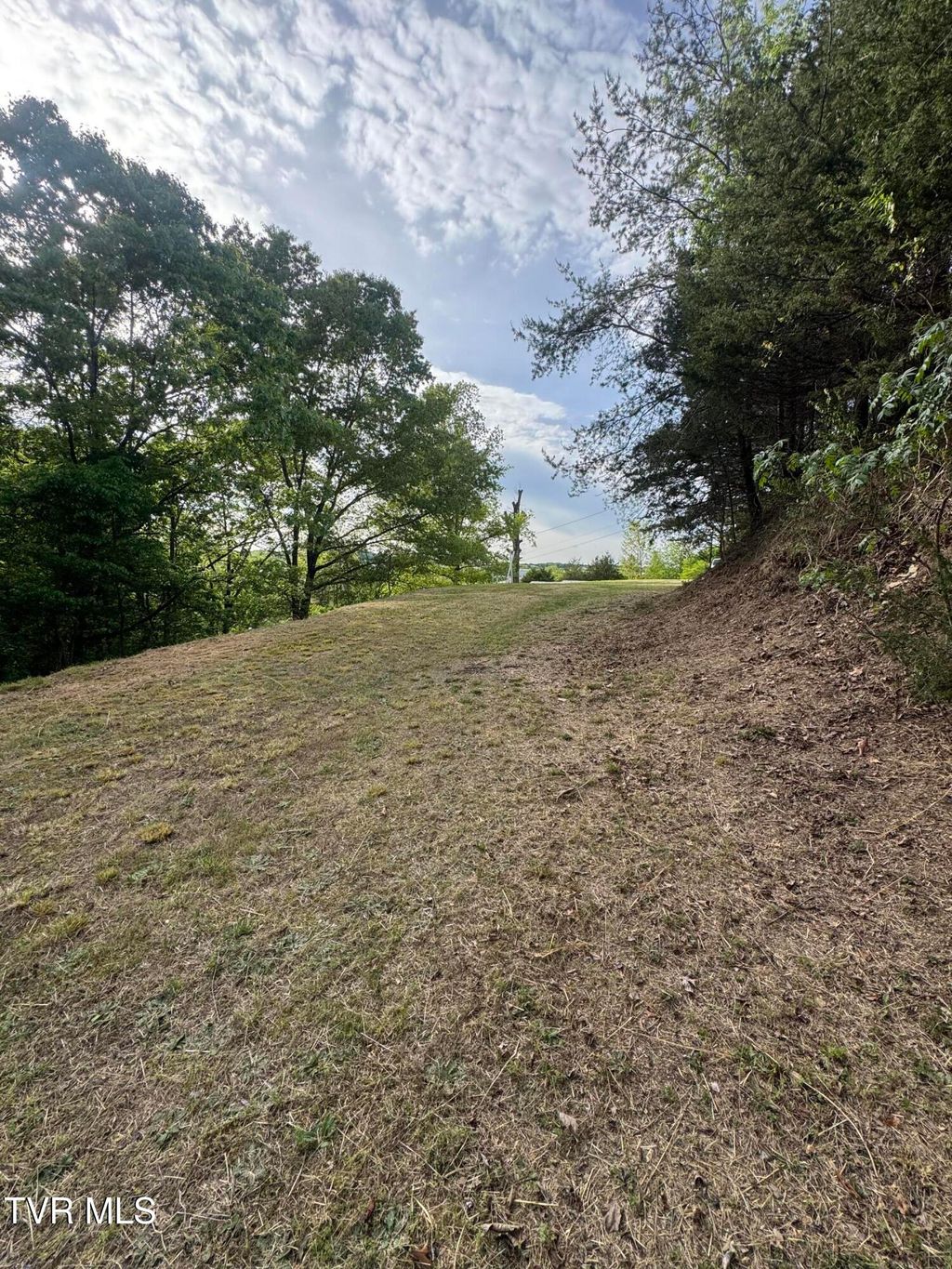 Photo of 328 Tester Hollow Road, Piney Flats, TN 37686 (MLS # 9994570)