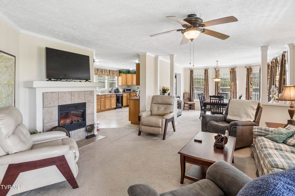 Photo of 2169 Rice Creek Road, Flag Pond, TN 37657 (MLS # 9994239)