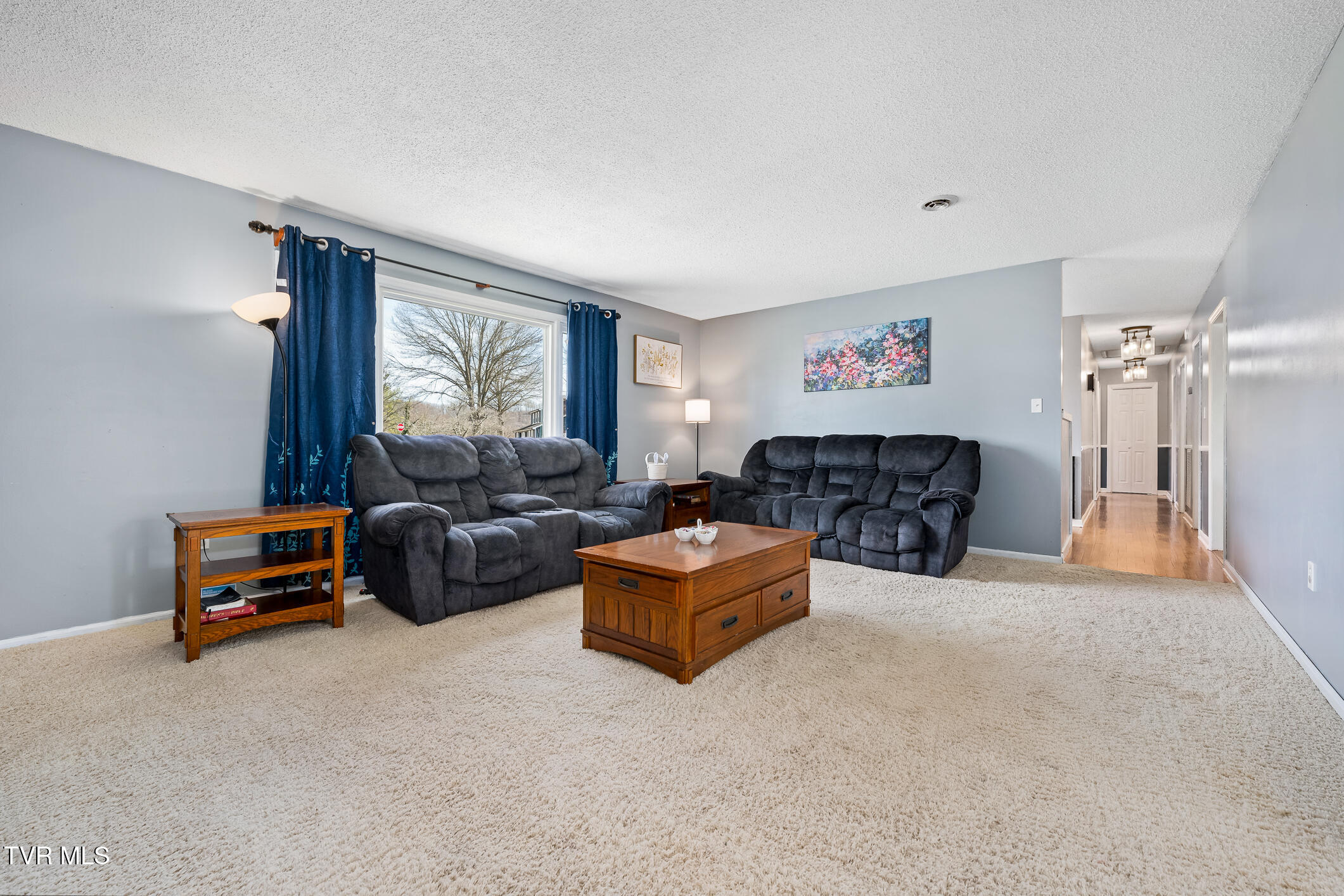 84 Stone Drive, Bristol, Tennessee image 10