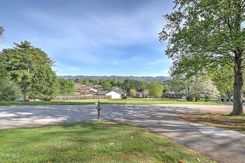 Photo of 1420 Ruthbrooke Drive, Mount Carmel, TN 37645 (MLS # 9993941)