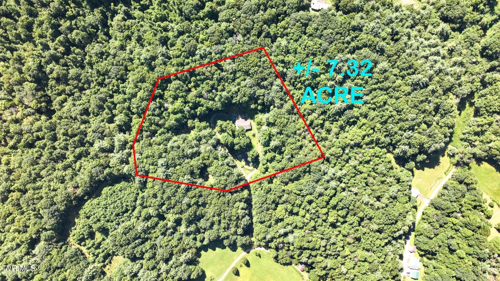 Photo of 390 Fiddlers Branch Road, Hampton, TN 37658 (MLS # 9999020)