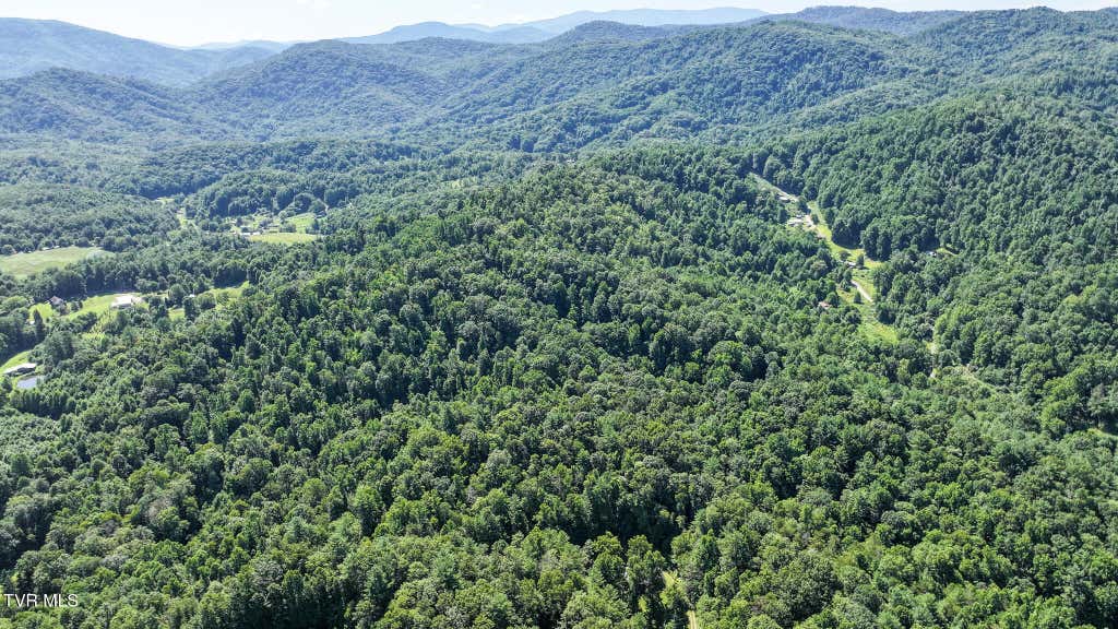 Photo of 390 Fiddlers Branch Road, Hampton, TN 37658 (MLS # 9999020)