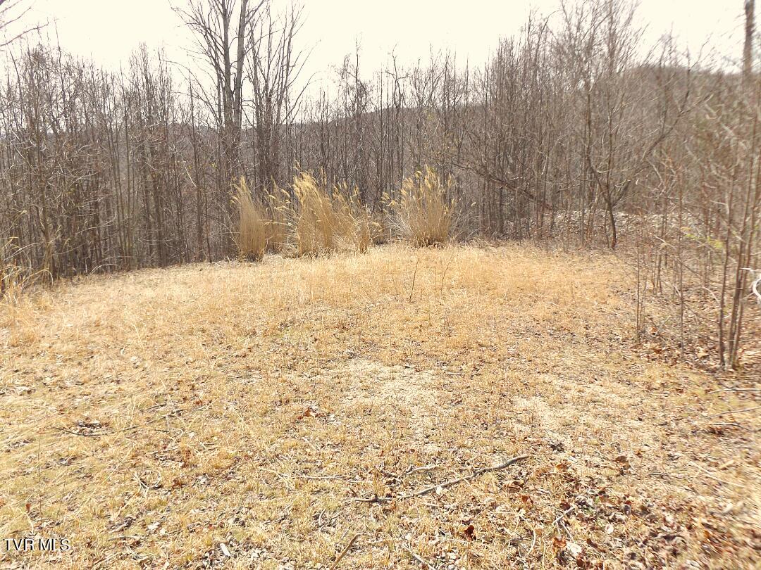 1213 Mays Ridge  Lot 17 Road, Butler, Tennessee image 1