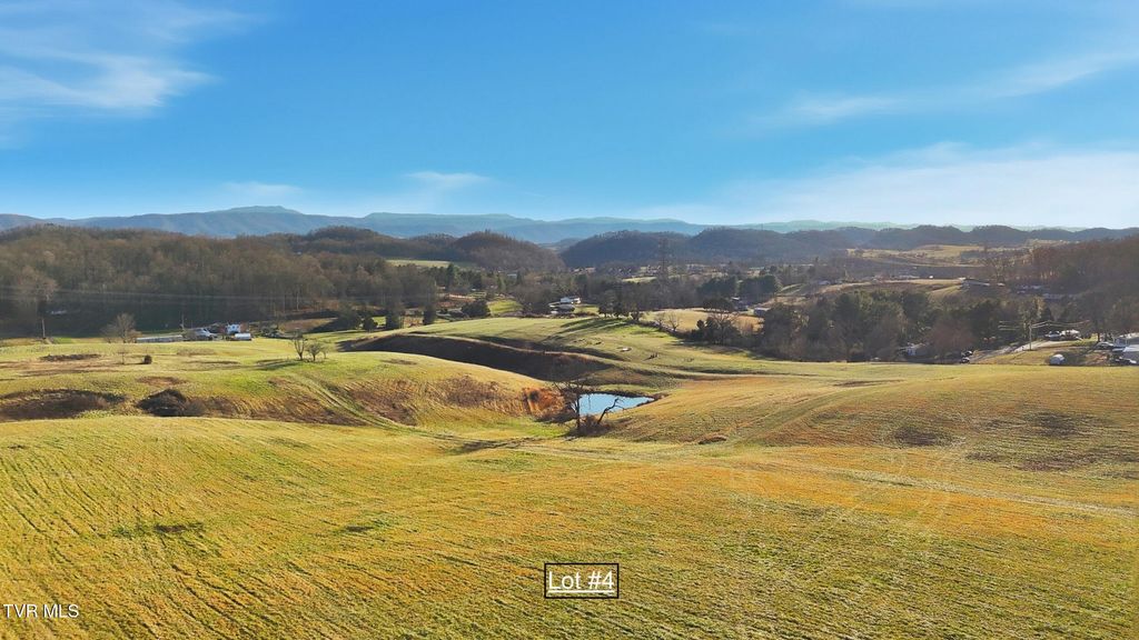 Photo of 261 Dotson Lane #Lot 4, Church Hill, TN 37642 (MLS # 9990593)