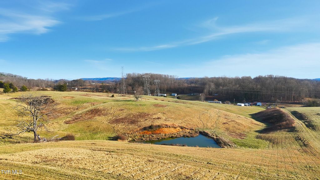 Photo of 261 Dotson Lane #Lot 4, Church Hill, TN 37642 (MLS # 9990593)