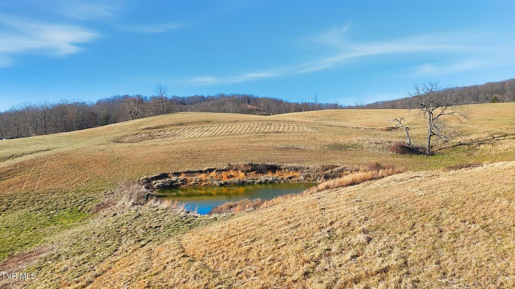 Photo of 261 Dotson Lane #Lot 4, Church Hill, TN 37642 (MLS # 9990593)