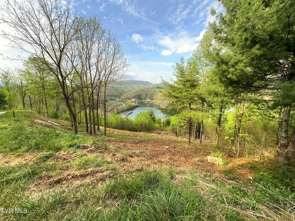 Photo of 60 Cowan Town Road, Butler, TN 37640 (MLS # 9994148)