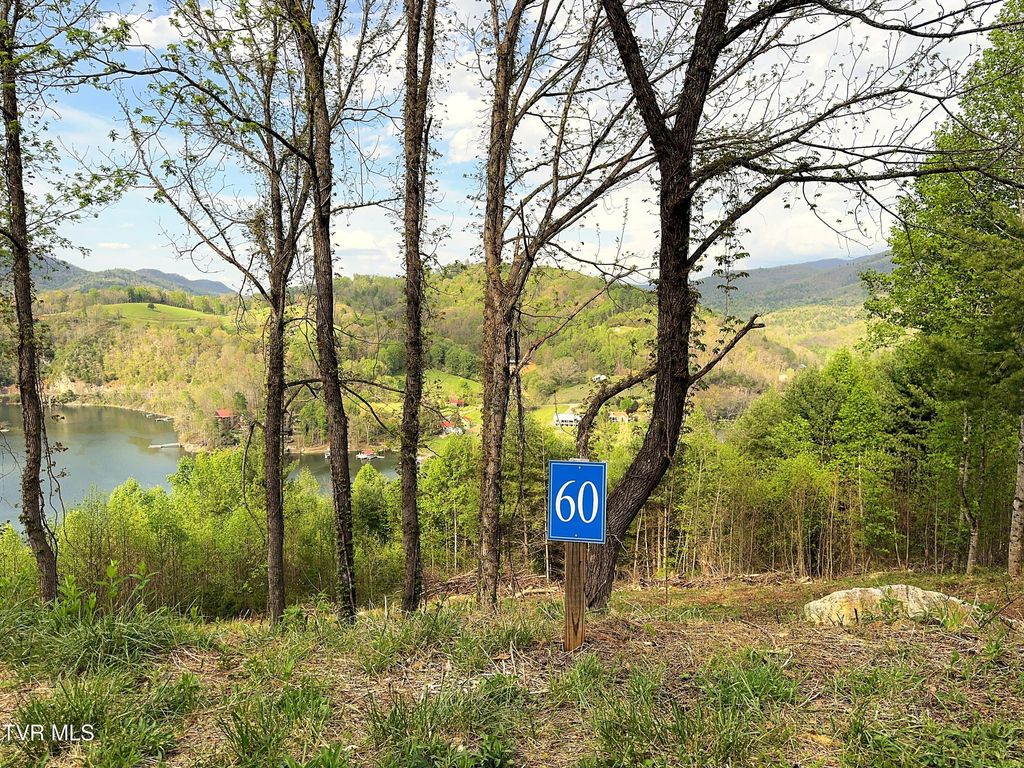 Photo of 60 Cowan Town Road, Butler, TN 37640 (MLS # 9994148)