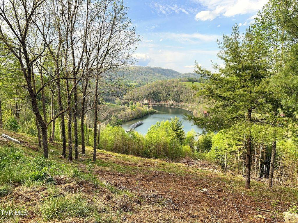 Photo of 60 Cowan Town Road, Butler, TN 37640 (MLS # 9994148)