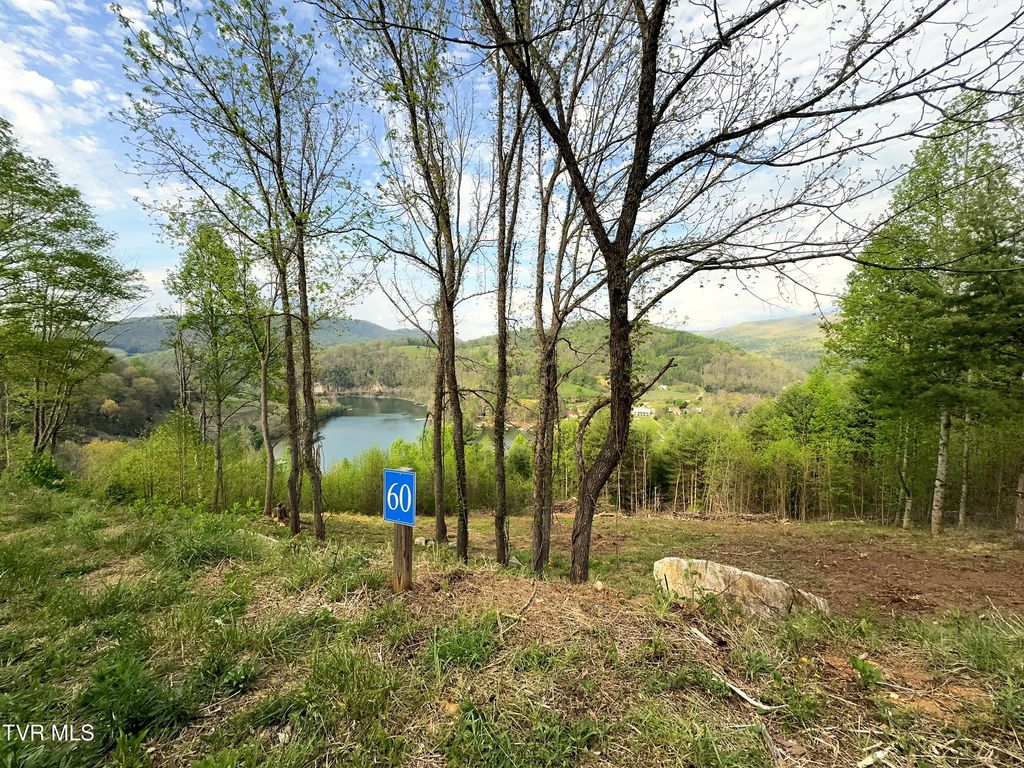 Photo of 60 Cowan Town Road, Butler, TN 37640 (MLS # 9994148)