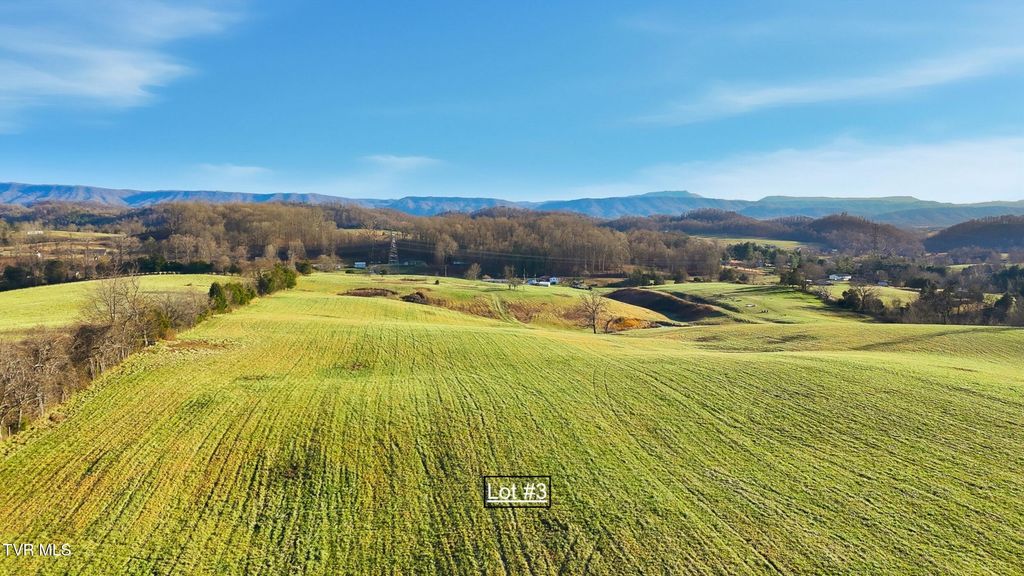 Photo of 261 Dotson Lane #Lot 3, Church Hill, TN 37642 (MLS # 9990592)