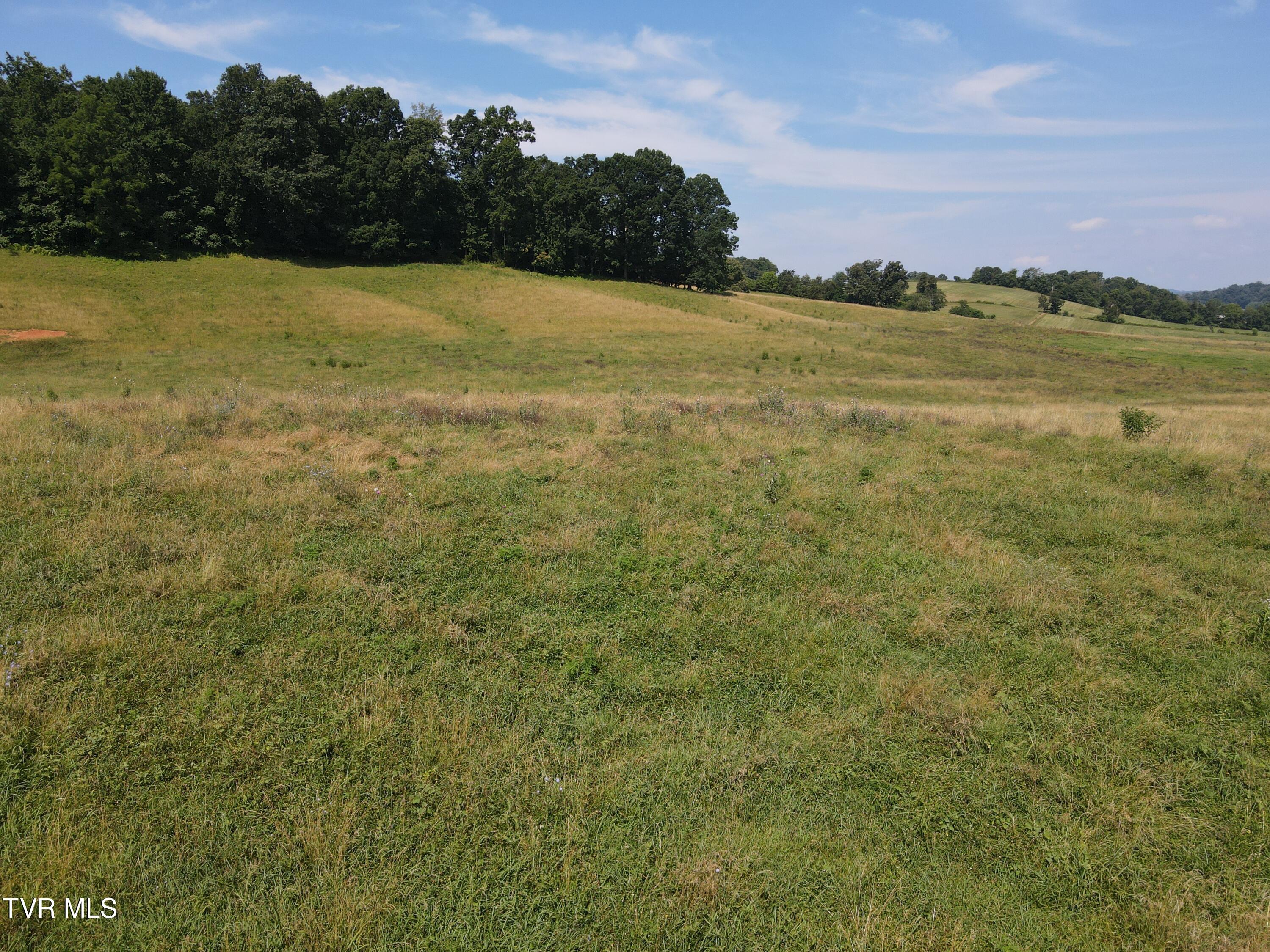 Tbd Bailey Bridge Rd, Limestone, Tennessee image 15