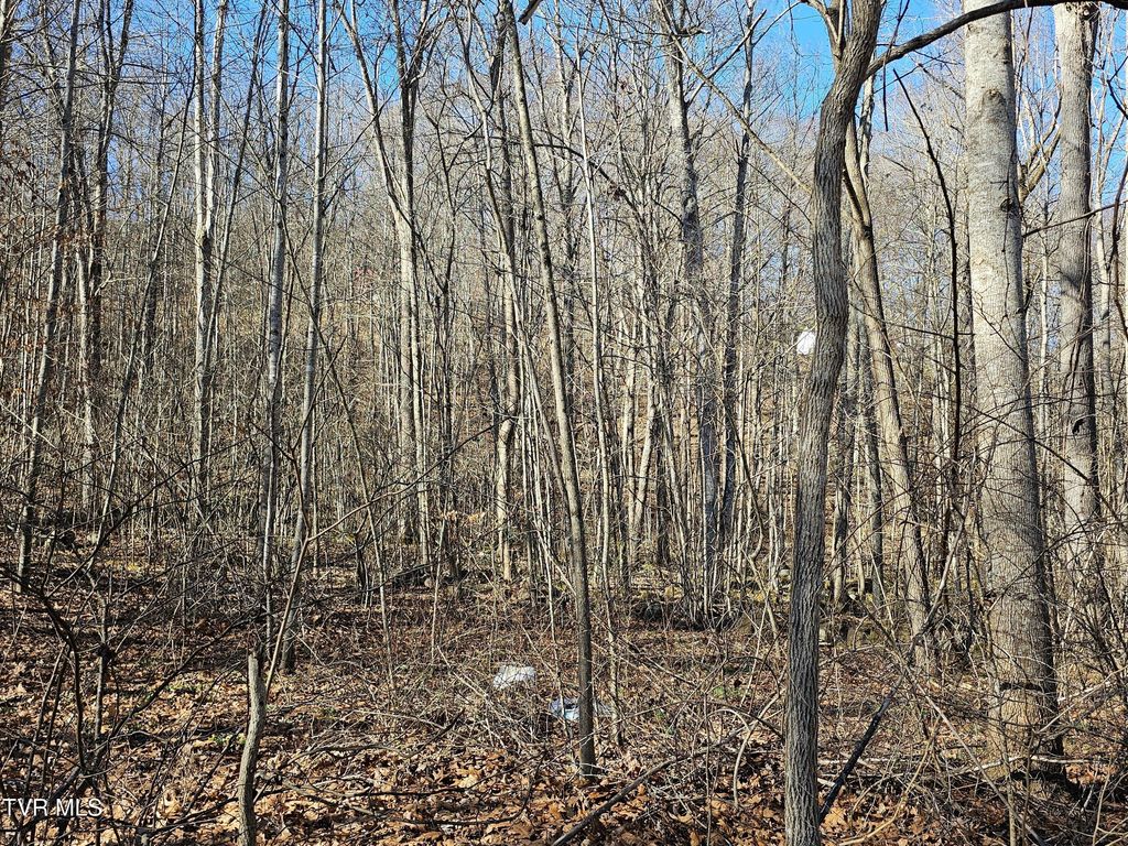 Photo of 00 Luguna Road, Pound, VA 24279 (MLS # 9990214)