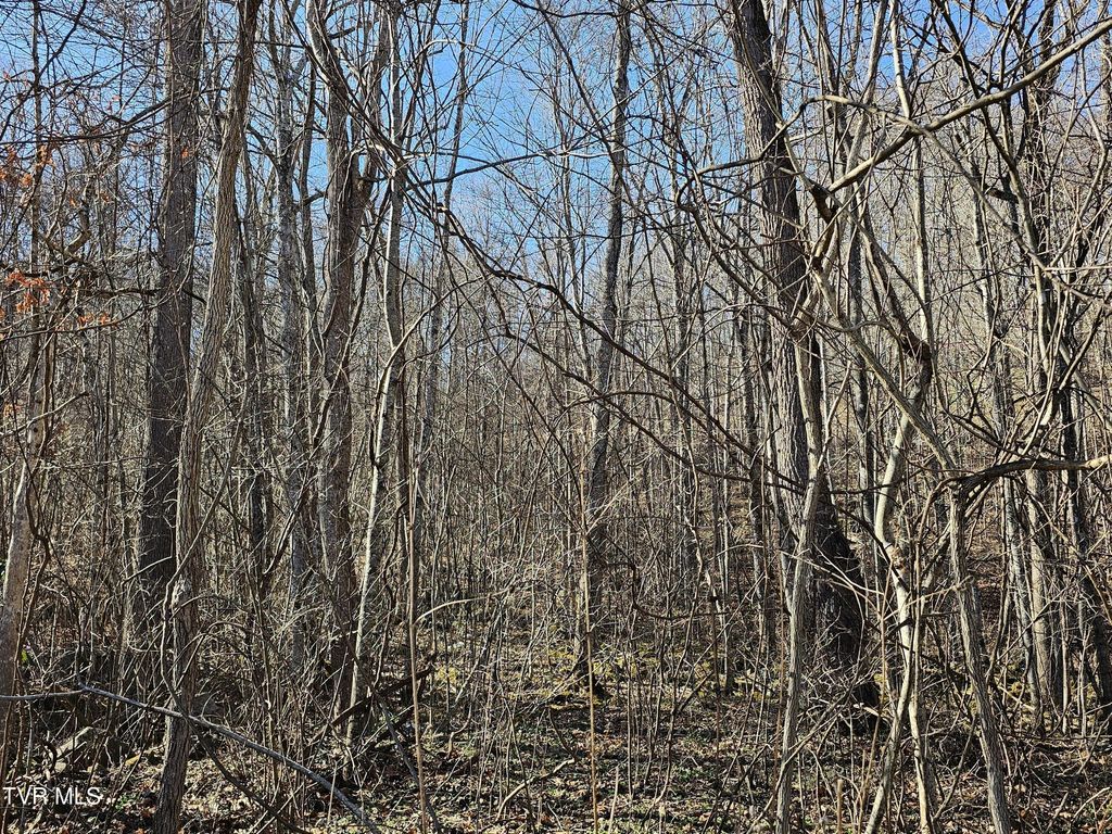 Photo of 00 Luguna Road, Pound, VA 24279 (MLS # 9990214)