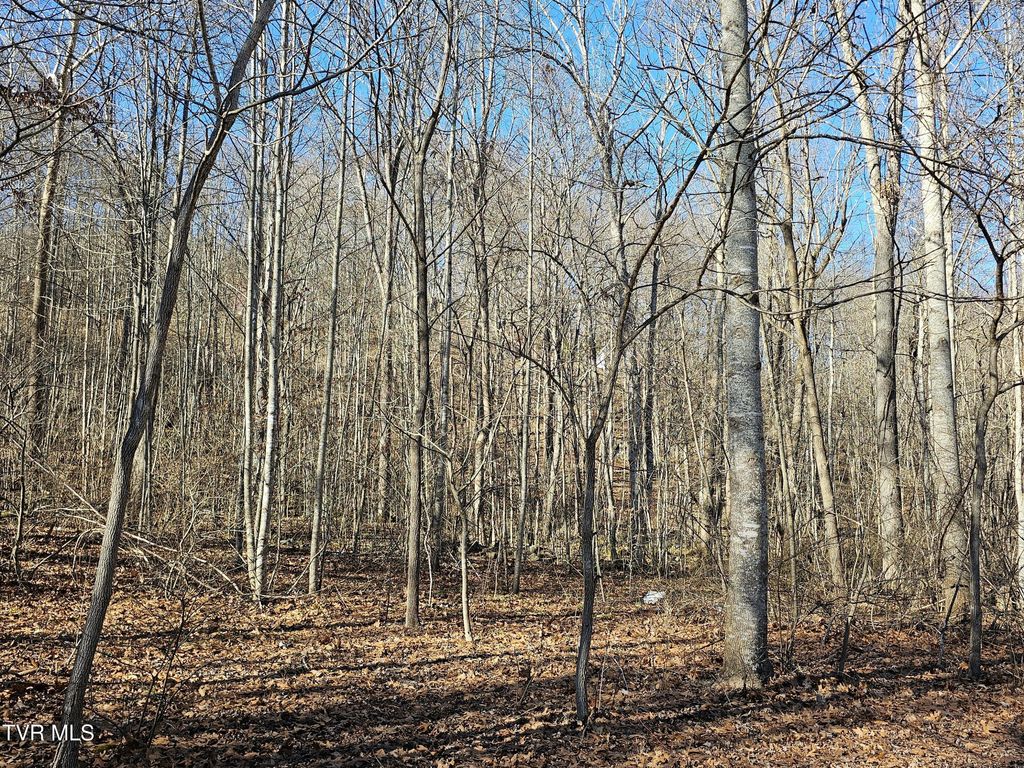 Photo of 00 Luguna Road, Pound, VA 24279 (MLS # 9990214)