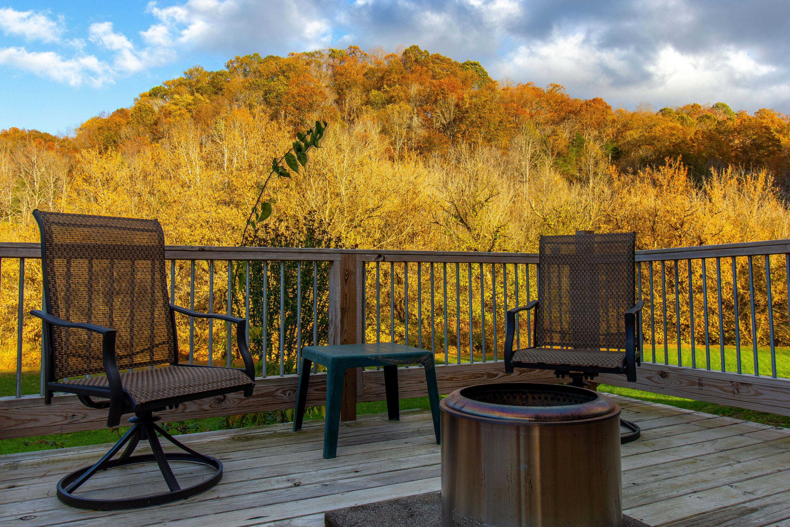 1050 Shoals Lane, Hiltons, Virginia image 23