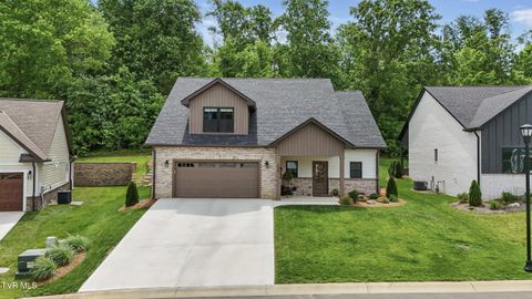 Photo of 235 Winston Place, Johnson City, TN 37615 (MLS # 9988971)