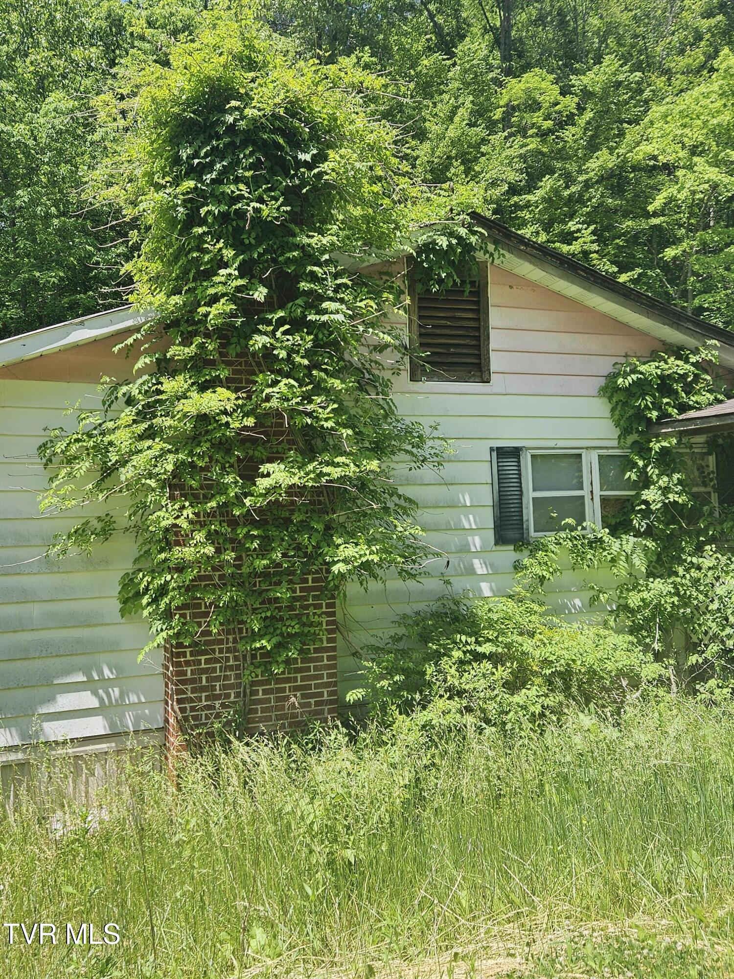 4203 Russell Creek Road, Saint Paul, Virginia image 5