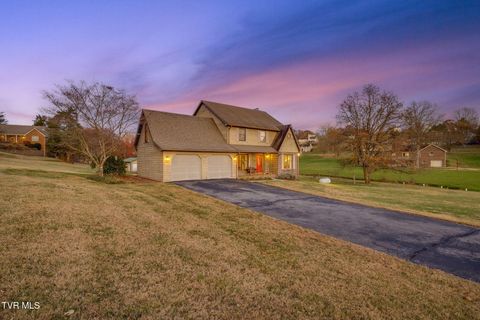 Photo of 124 Highland Hills Drive, Gray, TN 37615 (MLS # 9988350)