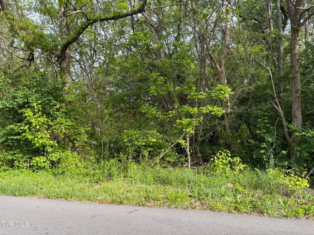 Photo of Tbd Reedy Creek Road, Kingsport, TN 37664 (MLS # 9994251)