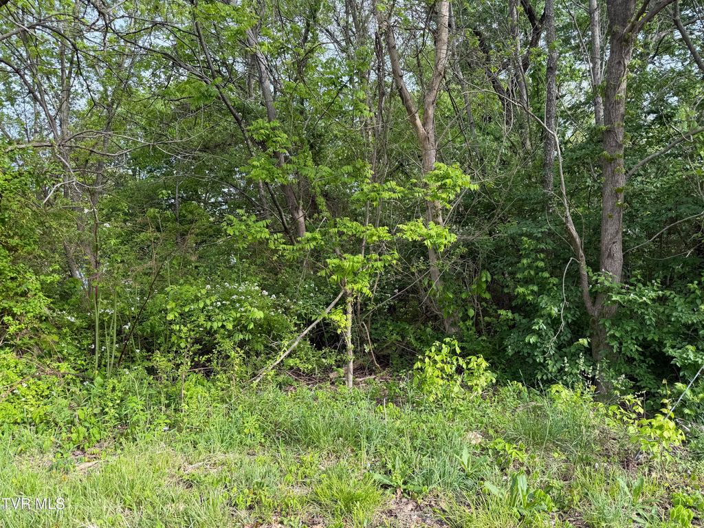 Photo of Tbd Reedy Creek Road, Kingsport, TN 37664 (MLS # 9994251)