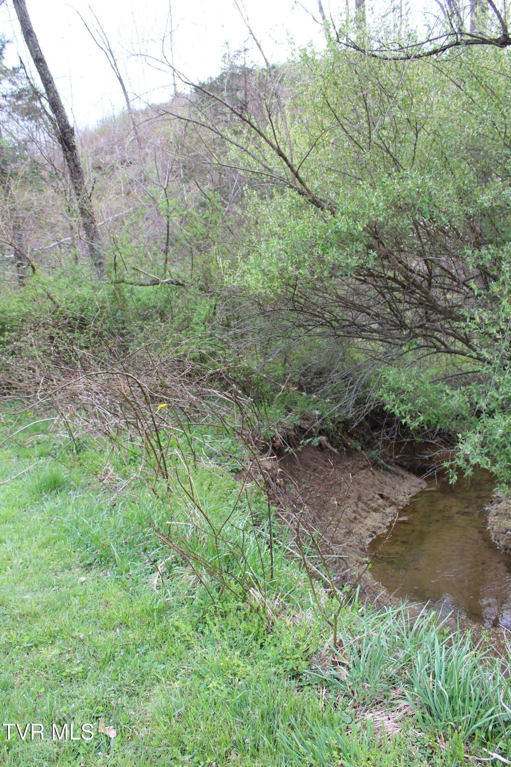 Photo of 0 Reeds Creek Road, Keokee, VA 24265 (MLS # 9993924)