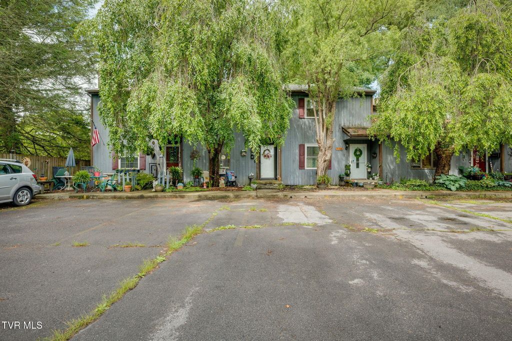 Photo of 716 Carolina Avenue #Apt C, Bristol, TN 37620 (MLS # 9995988)