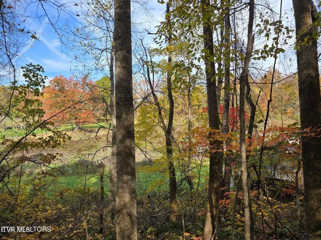 Photo of 218 Don Greene Road, Sneedville, TN 37869 (MLS # 9989290)