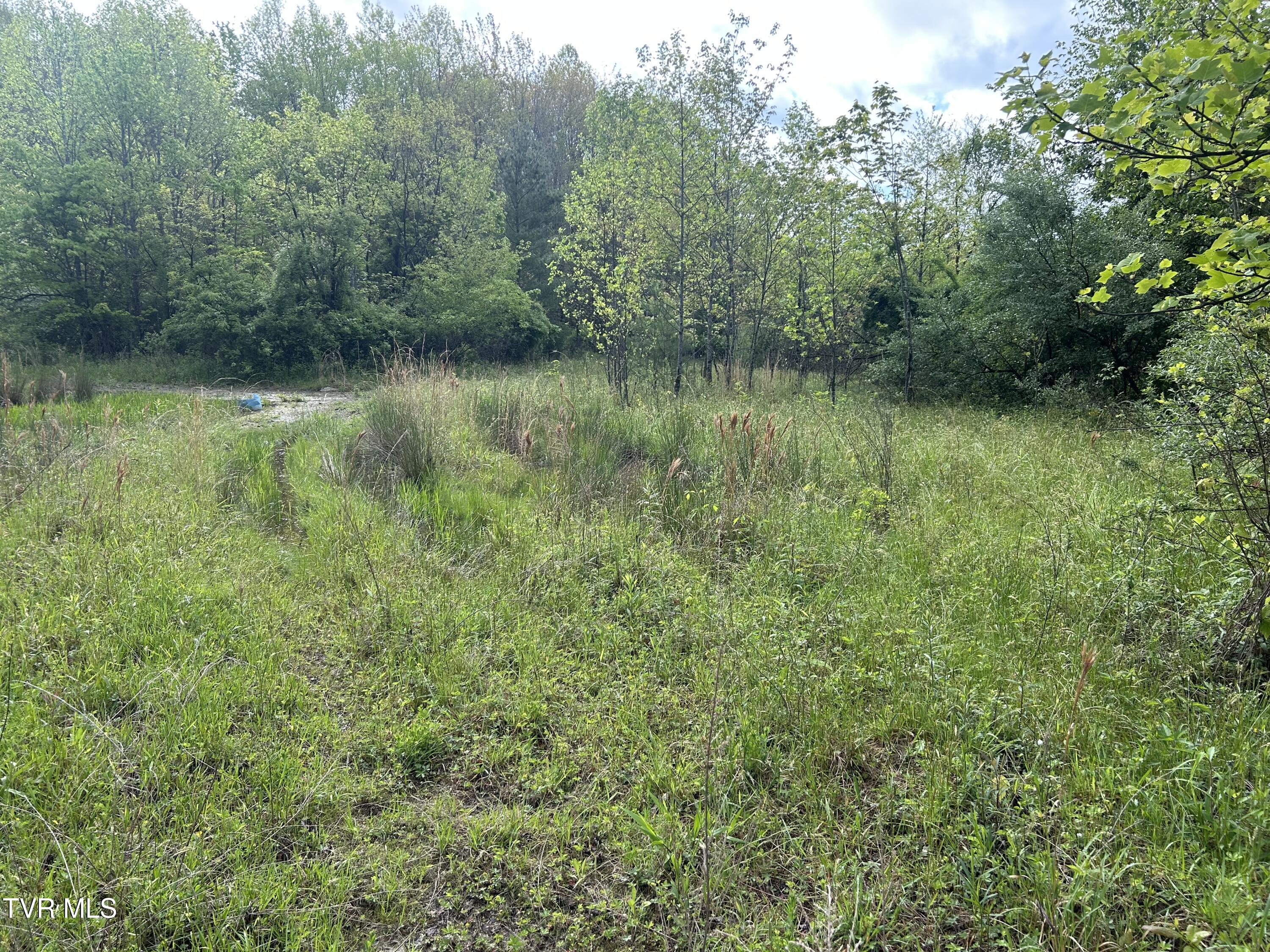 Tbd Main Street, Wise, Virginia image 18