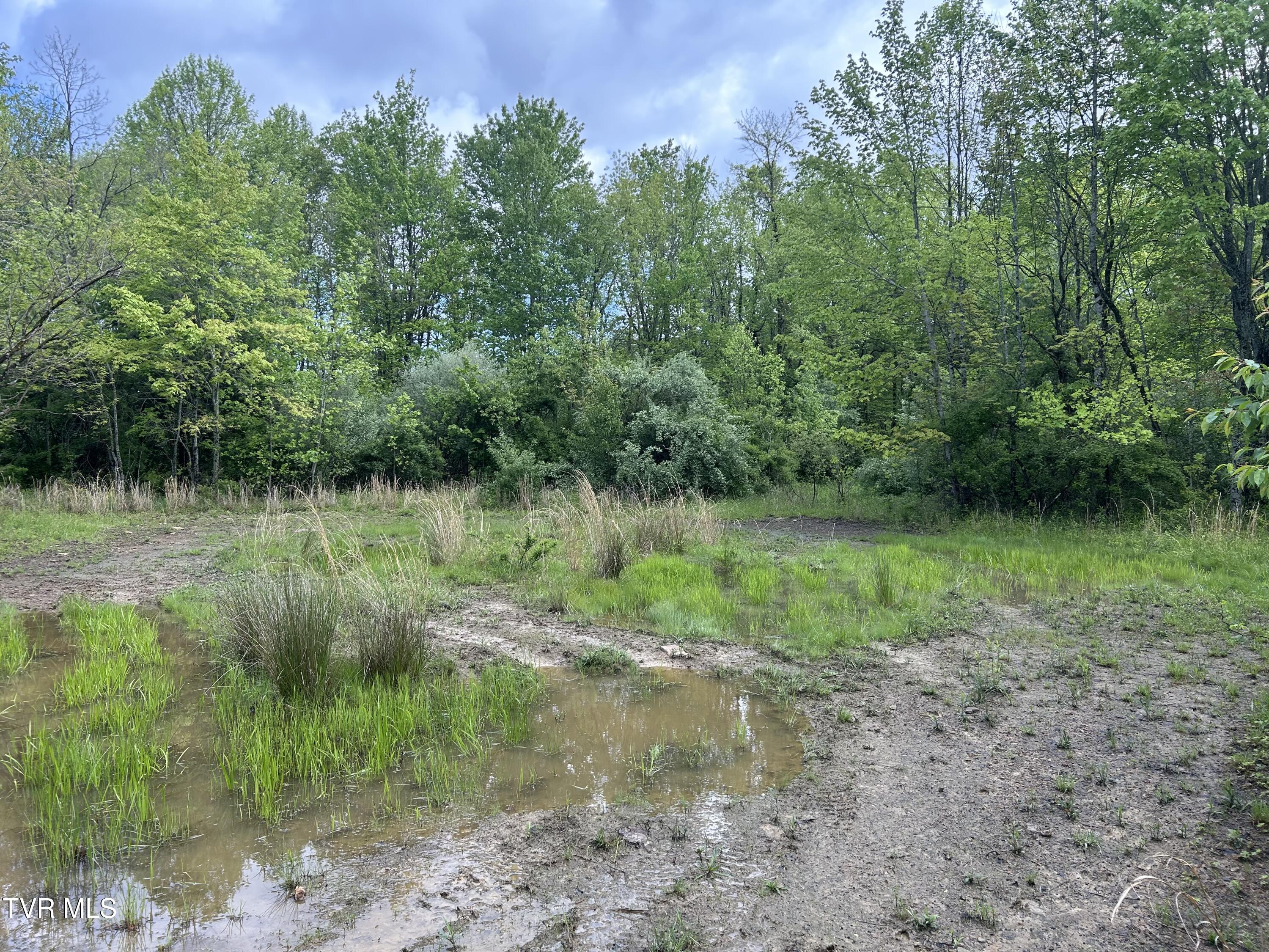 Tbd Main Street, Wise, Virginia image 16