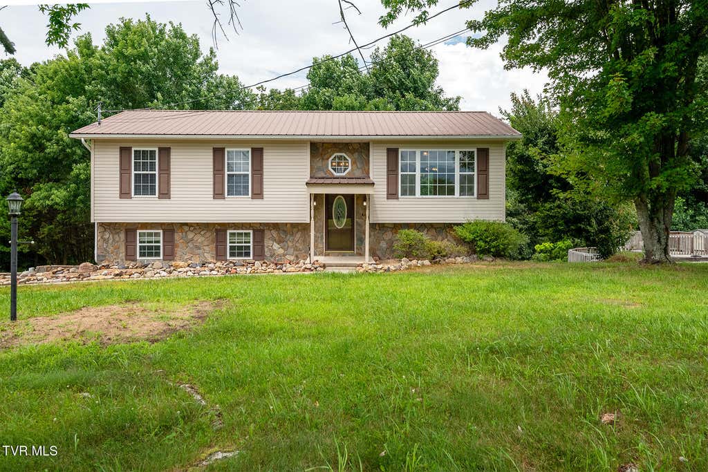Photo of 925 Keller Road, Afton, TN 37616 (MLS # 9999294)