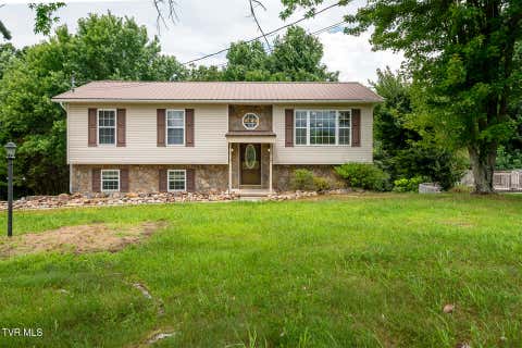 Photo of 925 Keller Road, Afton, TN 37616 (MLS # 9999294)