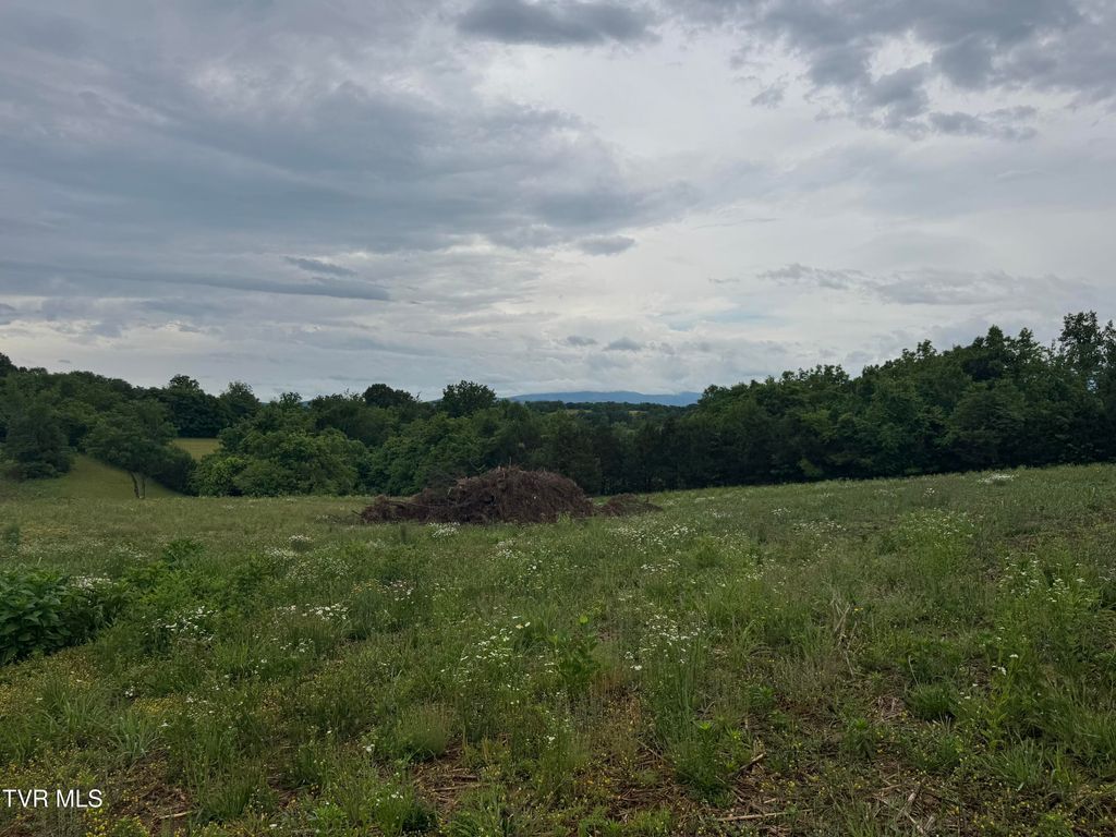 Photo of 0 Paynetown Road, Telford, TN 37690 (MLS # 9995794)