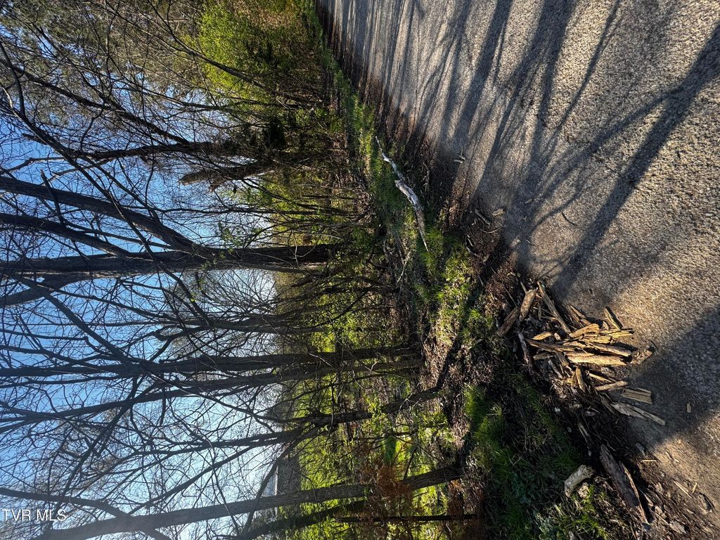 Photo of 0 Kirkham Road #0, Bean Station, TN 37708 (MLS # 9992780)