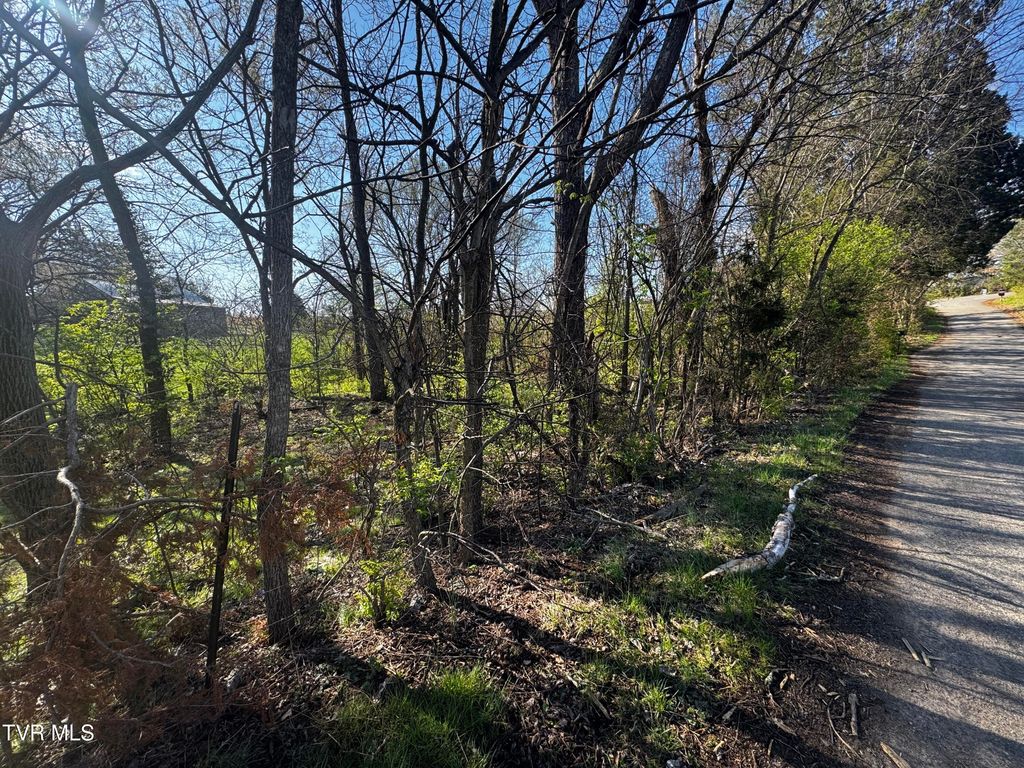 Photo of 0 Kirkham Road #0, Bean Station, TN 37708 (MLS # 9992780)