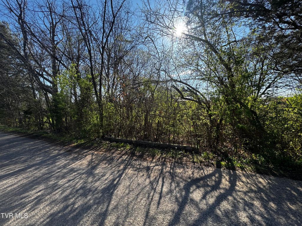 Photo of 0 Kirkham Road #0, Bean Station, TN 37708 (MLS # 9992780)