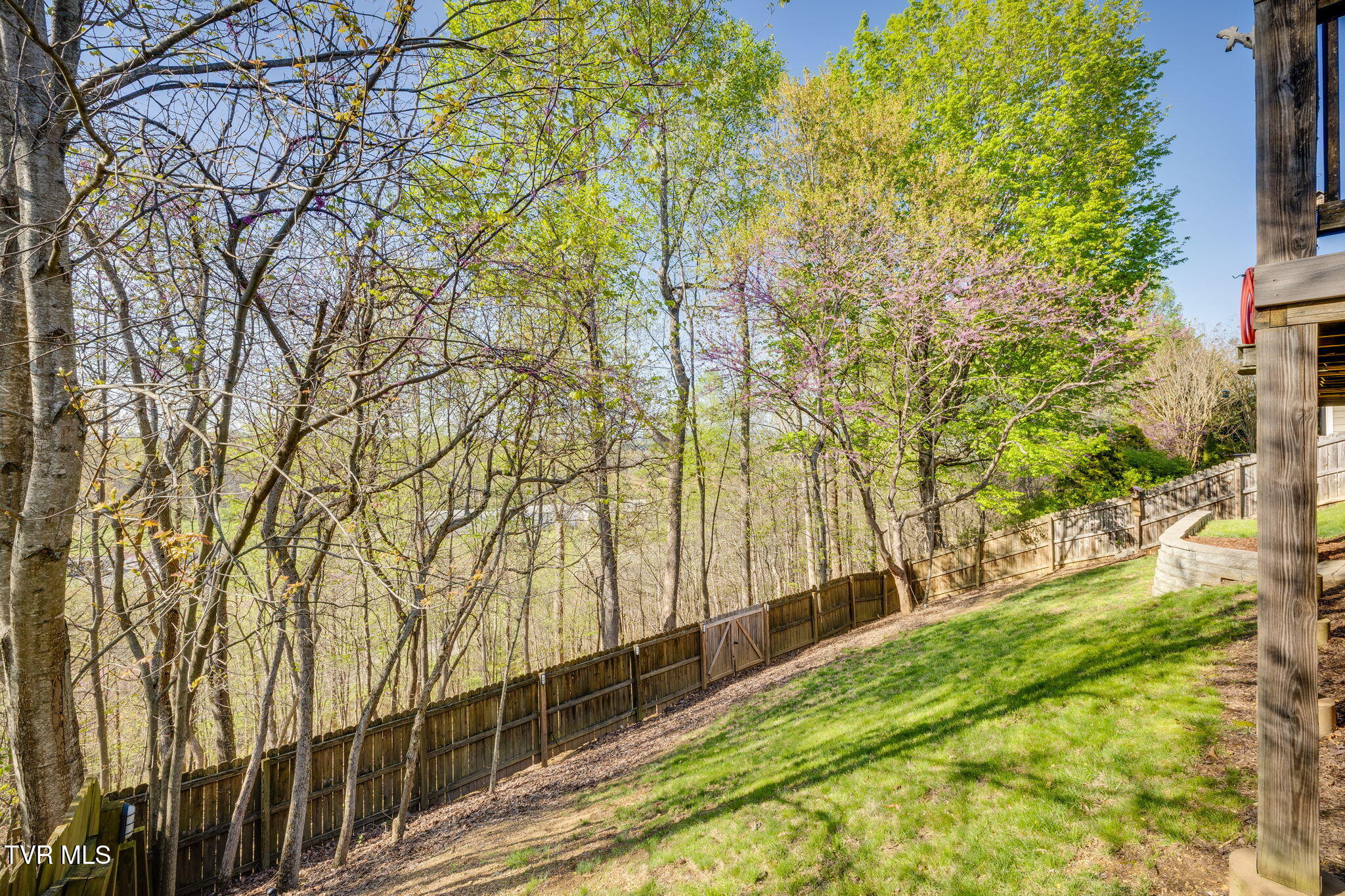 255 Alpine Trail, Kingsport, Tennessee image 39
