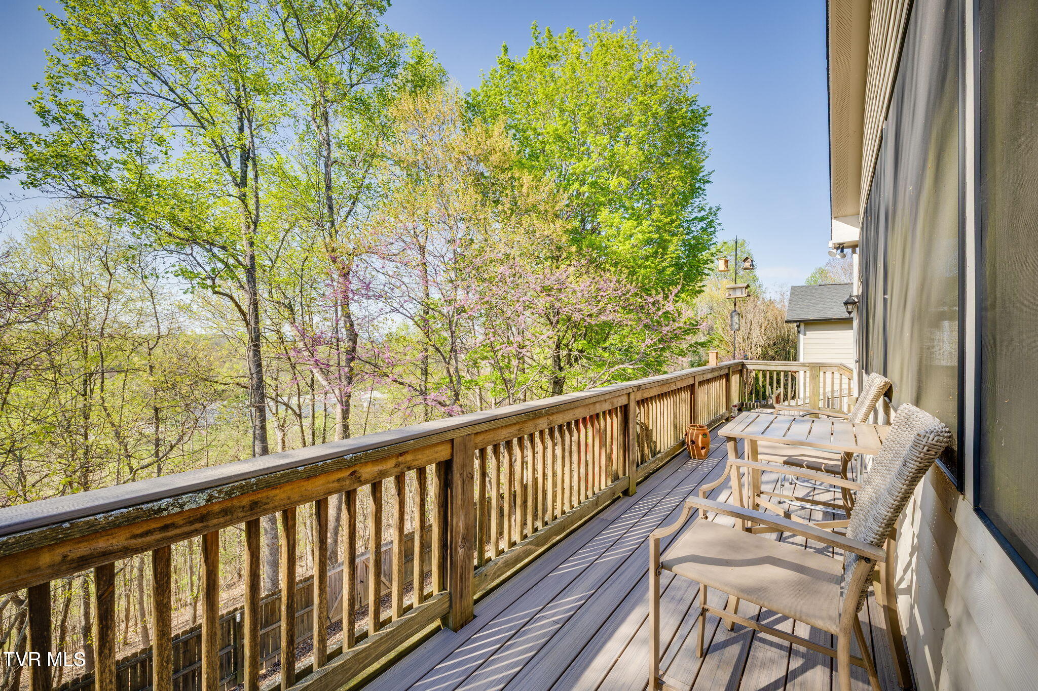 255 Alpine Trail, Kingsport, Tennessee image 40